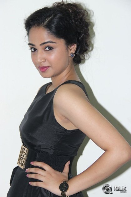 Srimanthudu-Movie-Thank-You-Function